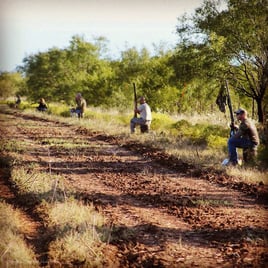 Texas Dove Hunt Fun!