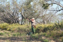 Texas Dove Hunt Fun!