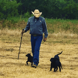 Texas Dove Hunt Fun!