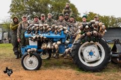 Central Texas Duck Hunts