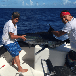 Bimini Blue Water Adventure (2 Day Minimum)