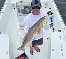 Redfish Fishing in Bay Pines, Florida