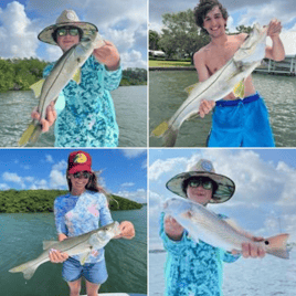 Redfish, Snook Fishing in Clearwater, Florida