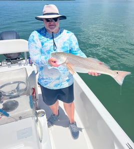 Redfish Fishing in Bay Pines, Florida