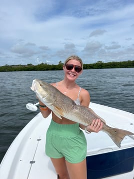 Redfish Fishing in Bay Pines, Florida