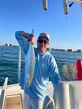 Spanish Mackerel Fishing in Clearwater, Florida