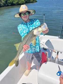 Snook Fishing in Bay Pines, Florida