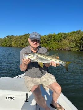 Snook Fishing in Bay Pines, Florida