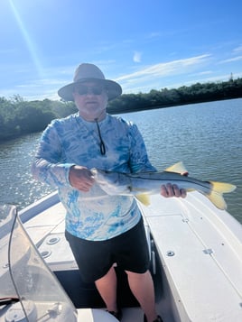 Snook Fishing in Bay Pines, Florida