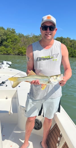 Snook Fishing in Clearwater, Florida