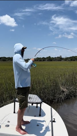 Marsh Hen Cast and Blast