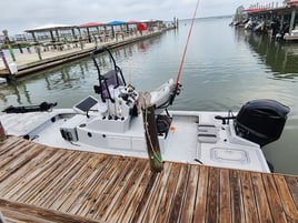 Bay Fishing