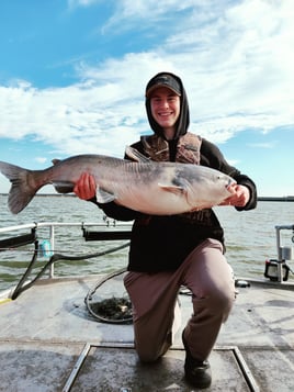 Lake Ray Hubbard White Bass+