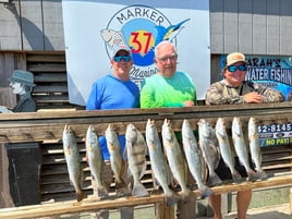 Black Drum, Speckled Trout Fishing in Corpus Christi, Texas