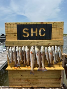 Redfish, Speckled Trout Fishing in Corpus Christi, Texas