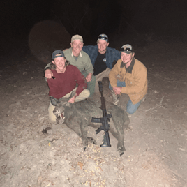 Hog Hunting in