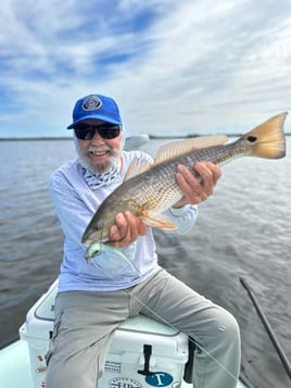 Sight fishing mosquito lagoon