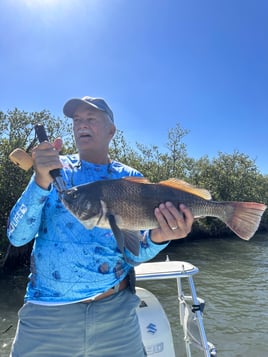 Sight fishing mosquito lagoon