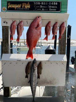 Red Snapper Fishing in Destin, Florida