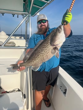 Gag Grouper Fishing in Destin, Florida