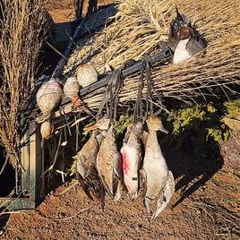 Childress, TX Duck Hunts