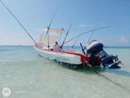 Tulum Deep sea fishing from Akumal Bay