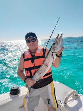 Barracuda Fishing in Puerto Morelos, Mexico