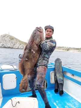 PRIVATE SPEARFISHING TOUR