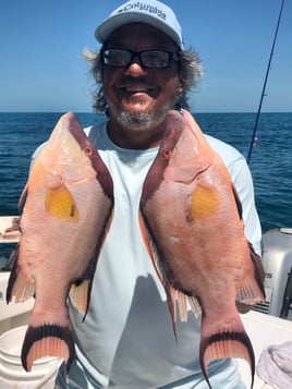 Hogfish Fishing in Holiday, Florida