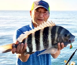 Sheepshead Fishing in Holiday, Florida