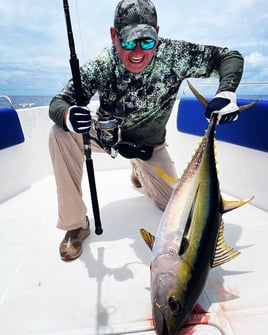 Chasin Tail - Hunt for YFT Maldives