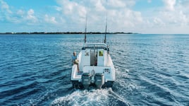 Chasin Tail - Hunt for YFT Maldives