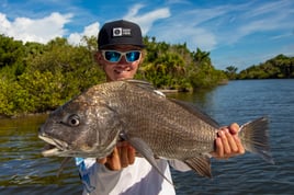 Black Drum Fishing in Allenhurst, Florida