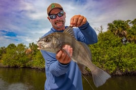 Black Drum Fishing in Allenhurst, Florida