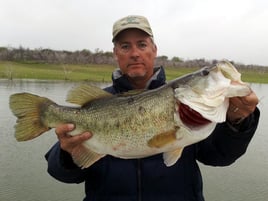 Central Texas Hawgs