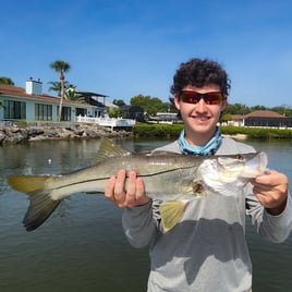 Snook Fishing in Edgewater, Florida