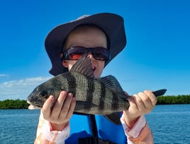 Sheepshead Fishing in Edgewater, Florida