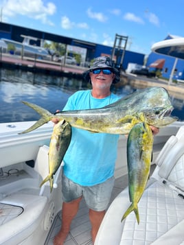 Mahi Mahi Fishing in Tavernier, Florida