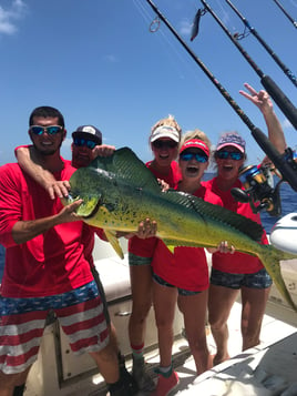 Mahi Mahi Fishing in Tavernier, Florida