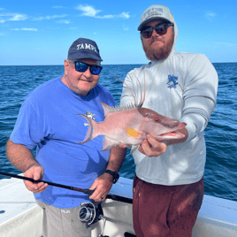 Hogfish Fishing in Holiday, Florida