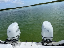 4 Hour Backwater/Nearcoastal Fishing Charter