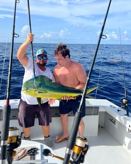 Mahi Mahi Fishing in Marathon, Florida