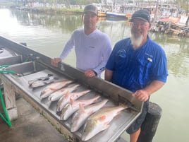 Redfish, Speckled Trout Fishing in Baytown, Texas