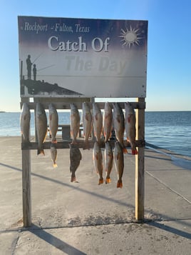 Inshore/Flats Fishing Trip