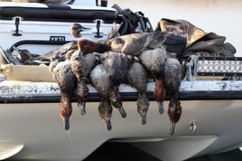 Corpus Christi Duck Hunts