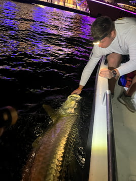 Tarpon Fishing in Fort Lauderdale, Florida