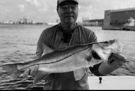 Snook Fishing in Fort Lauderdale, Florida