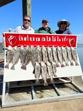 Port Aransas Inshore Fishing