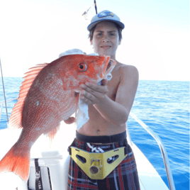 Red Snapper Fishing in Aransas Pass, Texas