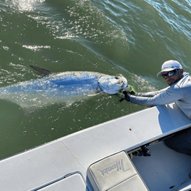 Tarpon Fishing in Everglades City, Florida